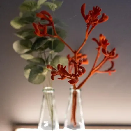 Haus Hohenstein Отель