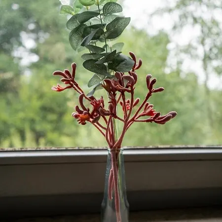 Hotell Haus Hohenstein 3*