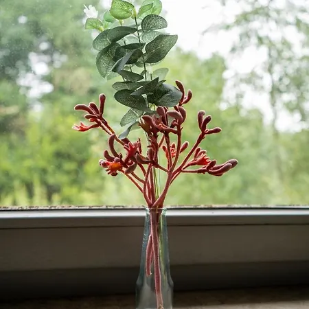 Отель Haus Hohenstein 3*