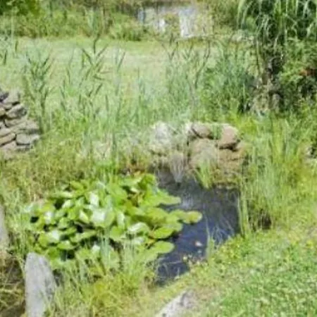 Hotel Haus Hohenstein 3*