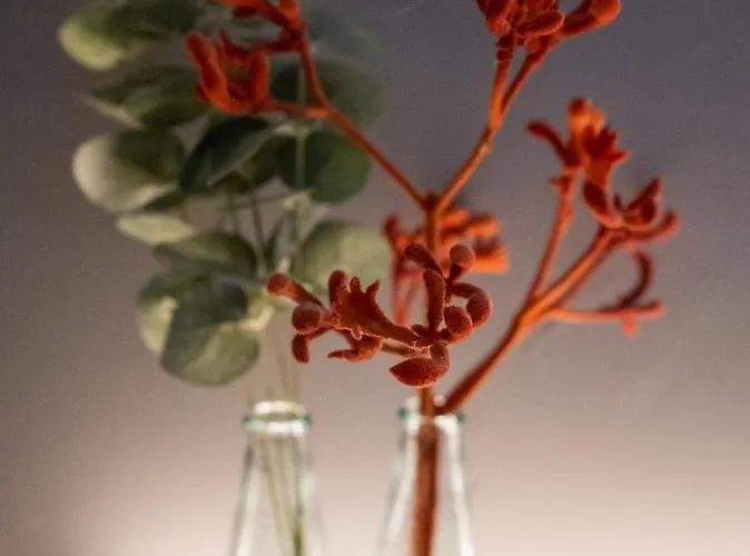 Haus Hohenstein Hotel