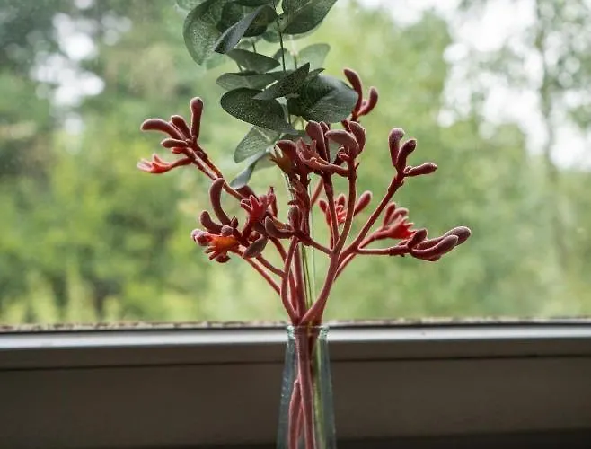 호텔 Haus Hohenstein 3*