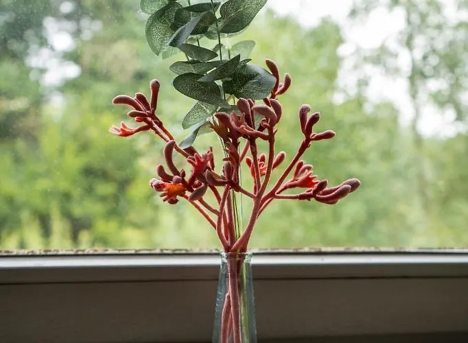 호텔 Haus Hohenstein 3*