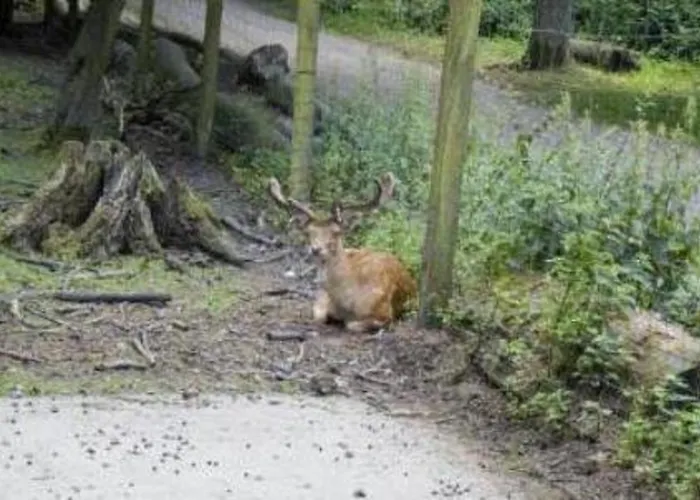 Haus Hohenstein 3* 비텐