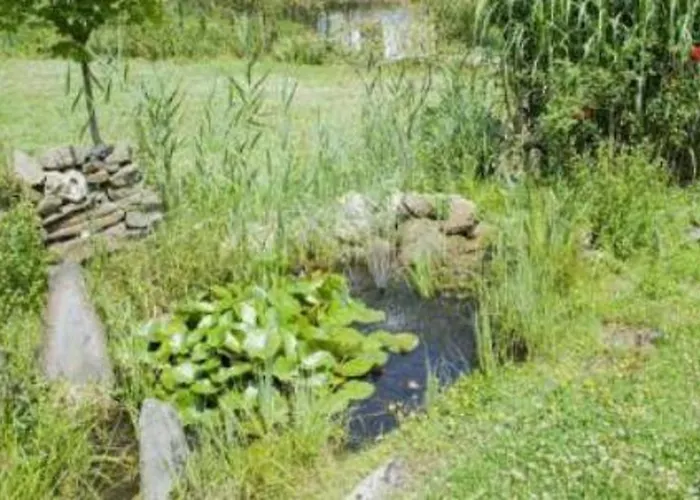 호텔 Haus Hohenstein 3*